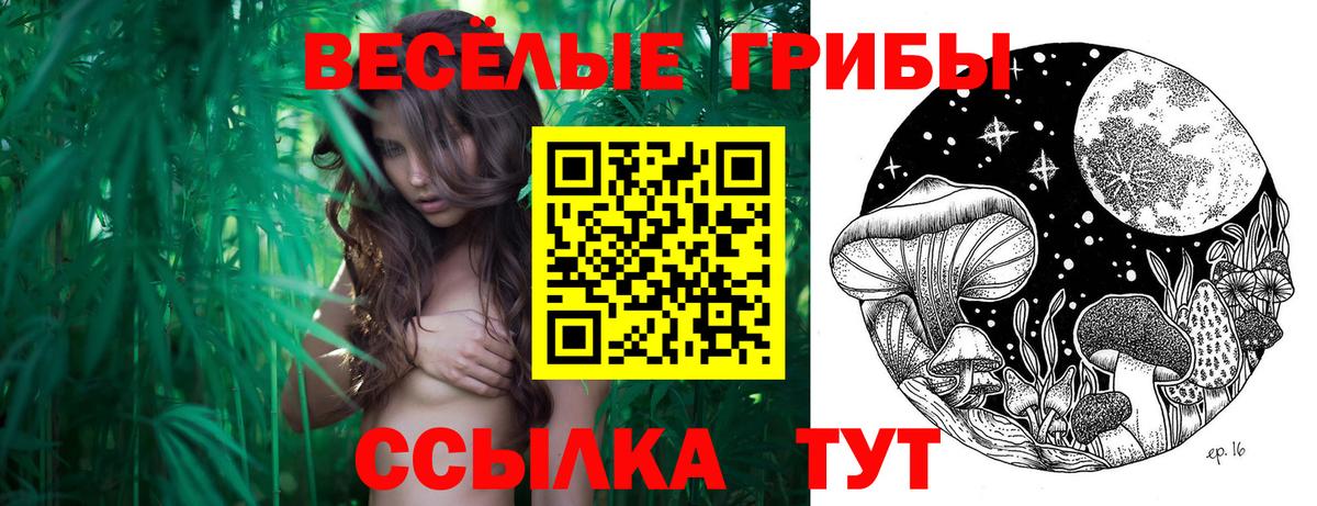 Галлюциногенные грибы мицелий  Псилоцибиновые грибы прущие грибы  Набережные Челны  Вход с VPN 